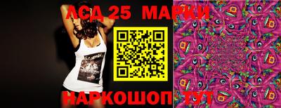 прущие крисы Моздок