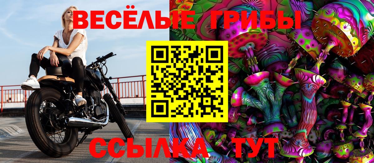 Псилоцибиновые грибы MAGIC MUSHROOMS Улан-Удэ
